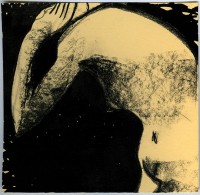 /album/carboncini-femminili/mulie-60-jpg/
